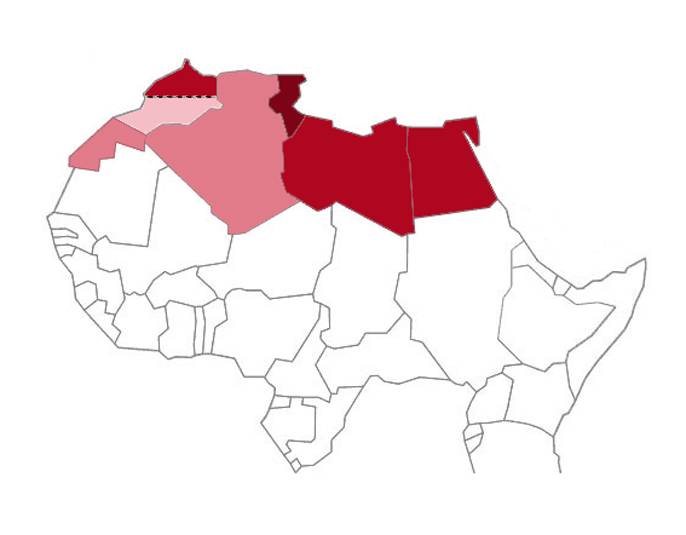 Los norteafricanos se hibridaron con los neandertales