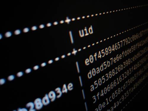 Los sistemas intensivos en software dominarán el mercado informático 