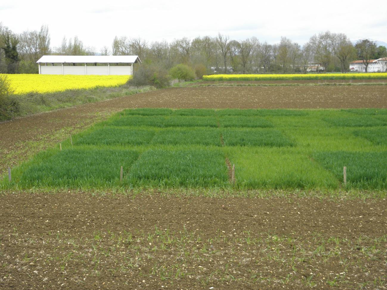 Los subproductos del tratamiento de residuos orgánicos pueden servir de fertilizantes