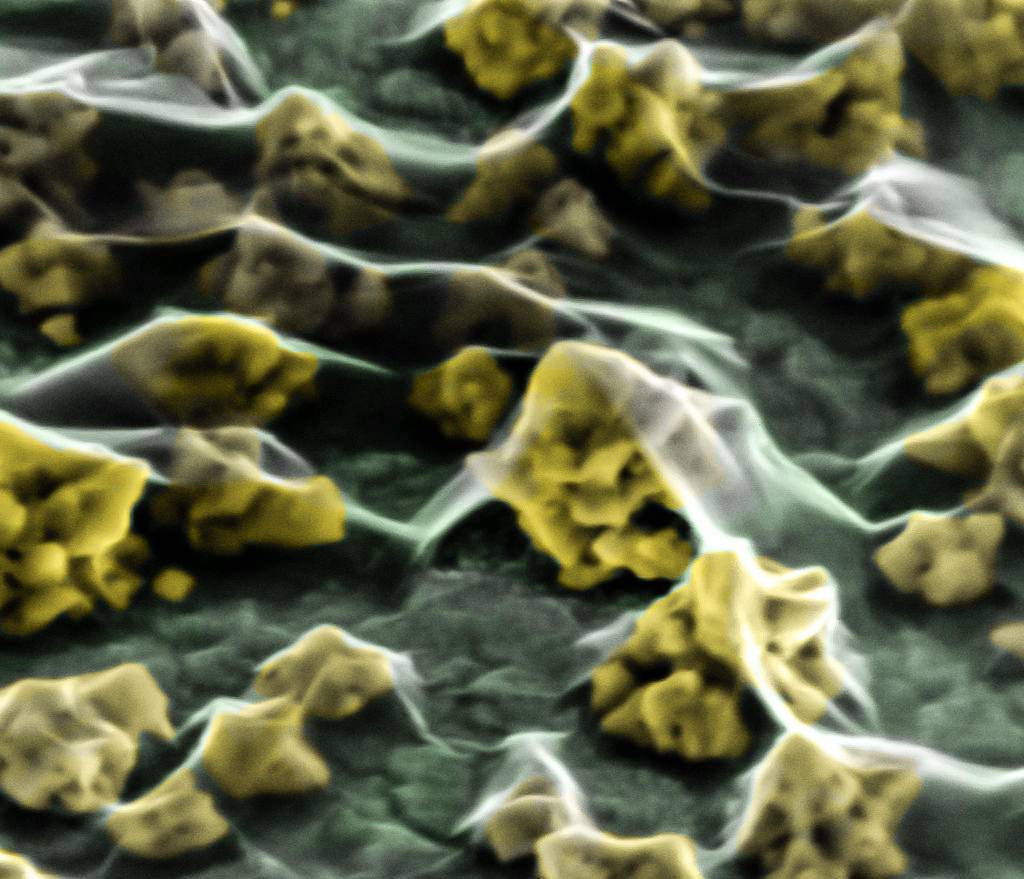 Membranas artificiales con nanopartículas de oro