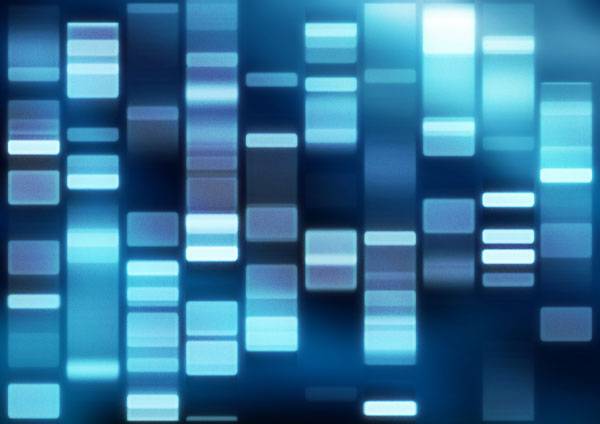 Miles de enfermedades de origen genético se podrán diagnosticar gracias al supercomputador FinisTerrae