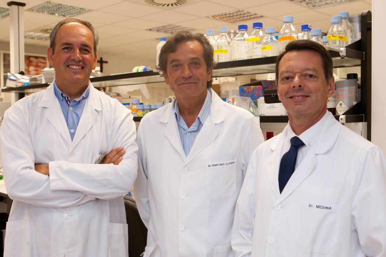 Moléculas inhibidoras de una proteína ejercen un potente efecto antitumoral