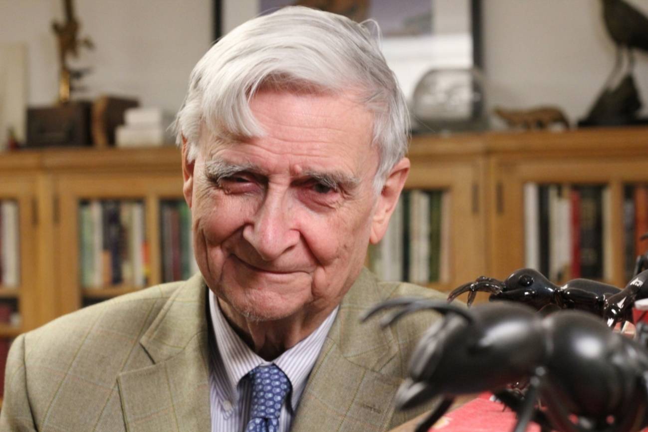 Muere el naturalista Edward O. Wilson, ‘el señor de las hormigas’, a los 92 años