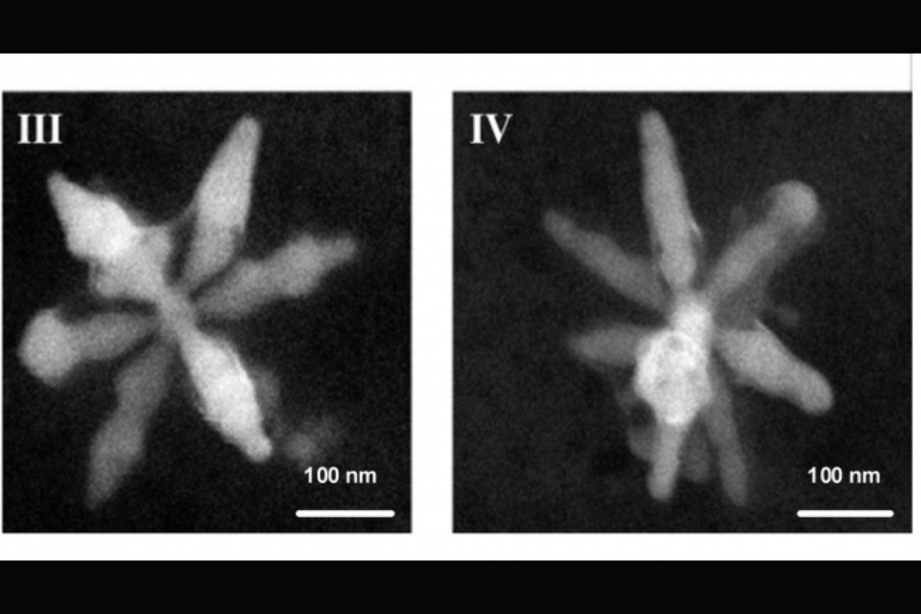 Nanoestrellas de Plata que identifican moléculas