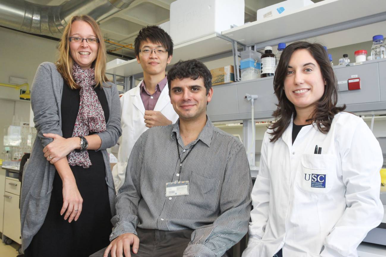 Nanopartículas para llevar fármacos al interior del tumor cerebral más letal