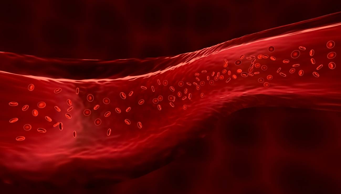 Nanotransportadores de oxígeno para ayudar a la fototerapia a combatir tumores