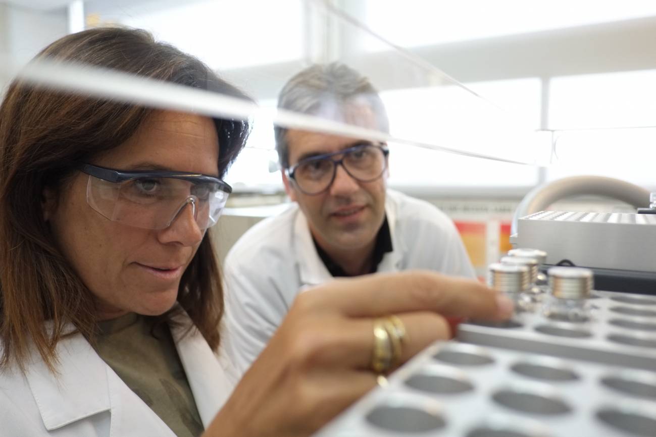 Nariz, lengua y ojo electrónicos para distinguir los tipos de whisky