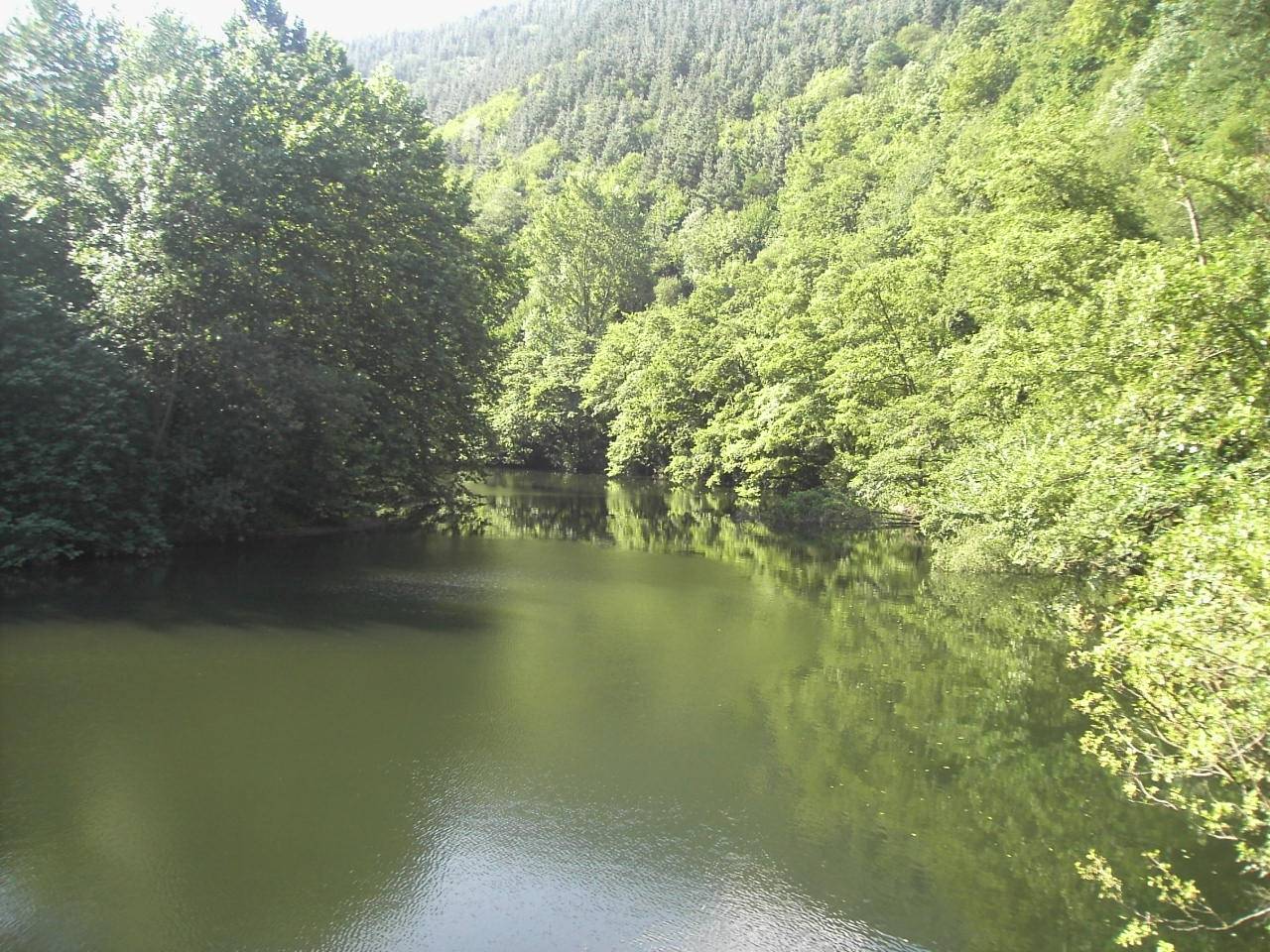 Navarra lidera un proyecto europeo para mejorar los ríos Bidasoa y Urumea