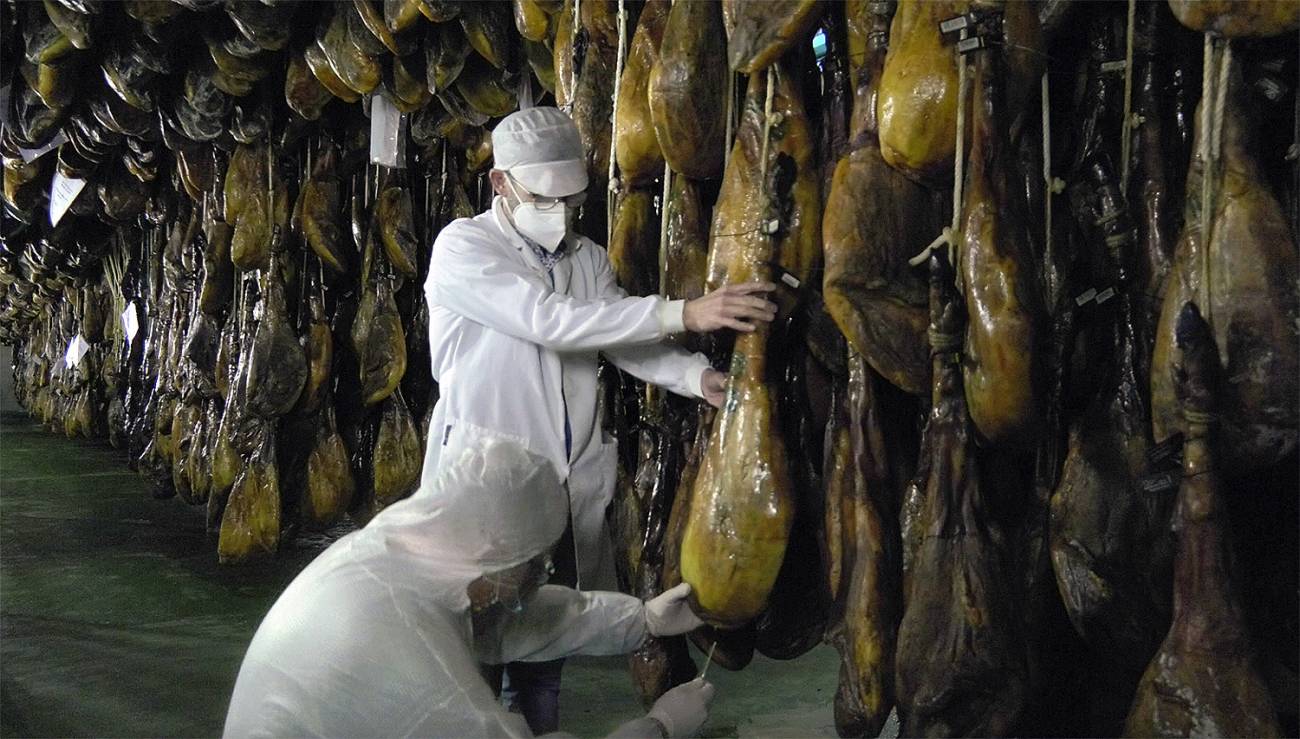 Nueva fórmula para saber si un jamón ibérico es de bellota