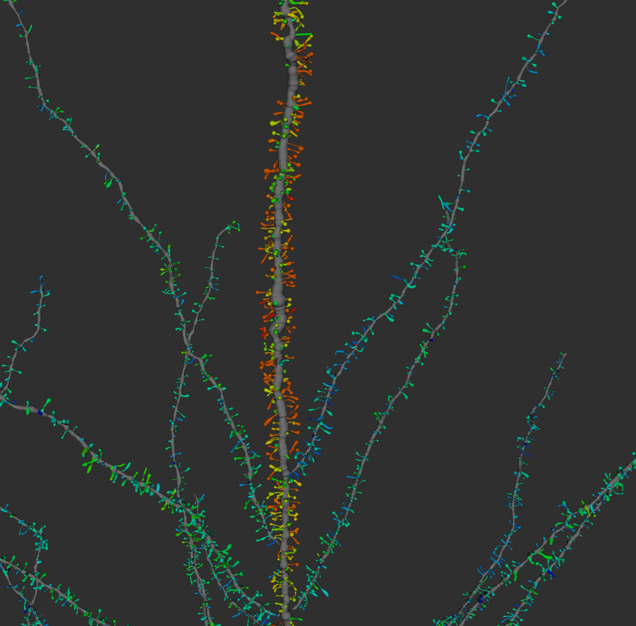 Detalle de una imagen obtenida con la herramienta PyramidalExplorer.