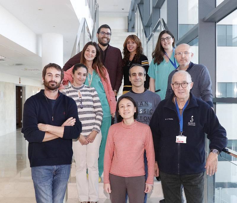 Equipo de expertos UPV