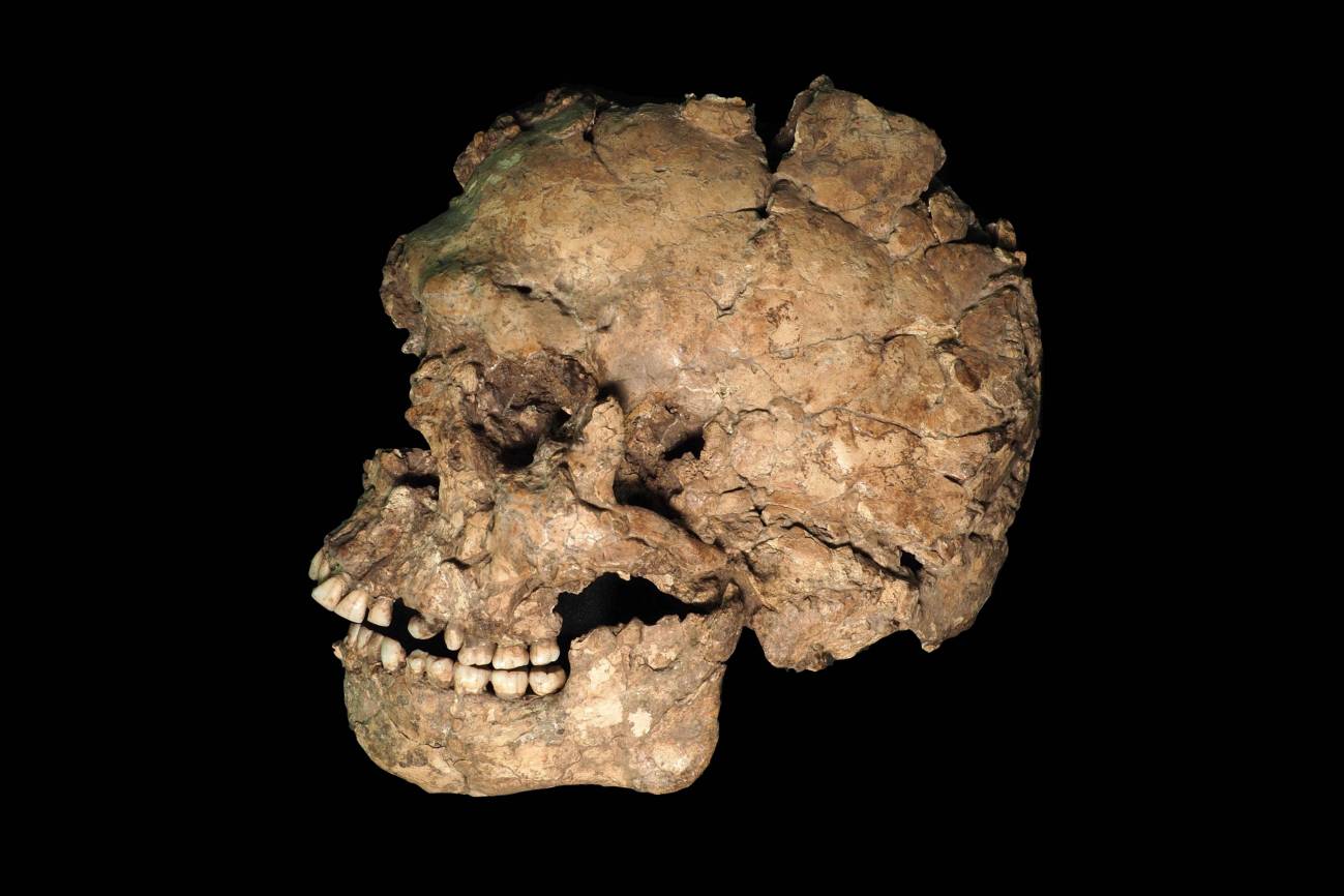 Nuevas claves sobre salud, violencia y comportamiento funerario en los primeros ‘Homo sapiens’