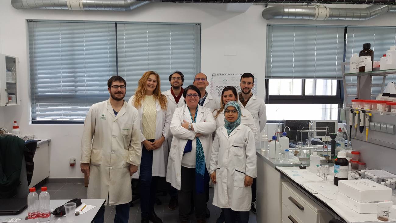 Nuevo biosensor para medir los índices de antioxidantes en cervezas y vinos