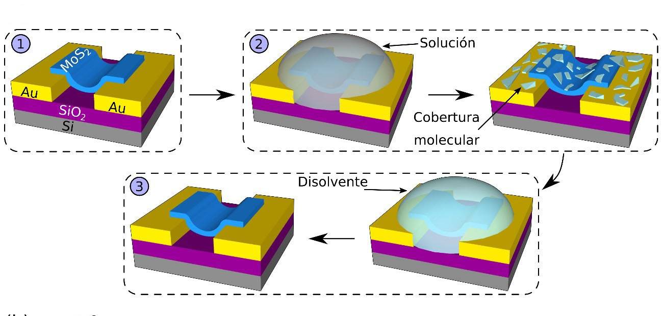 Nuevo fotodetector 2D ultrasensible