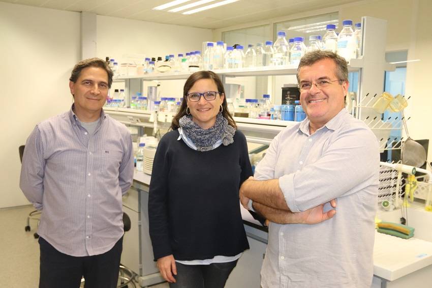 Nuevo hallazgo clave para luchar contra la exocortis de los cítricos