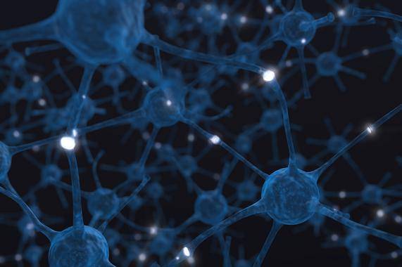 redes neuronales