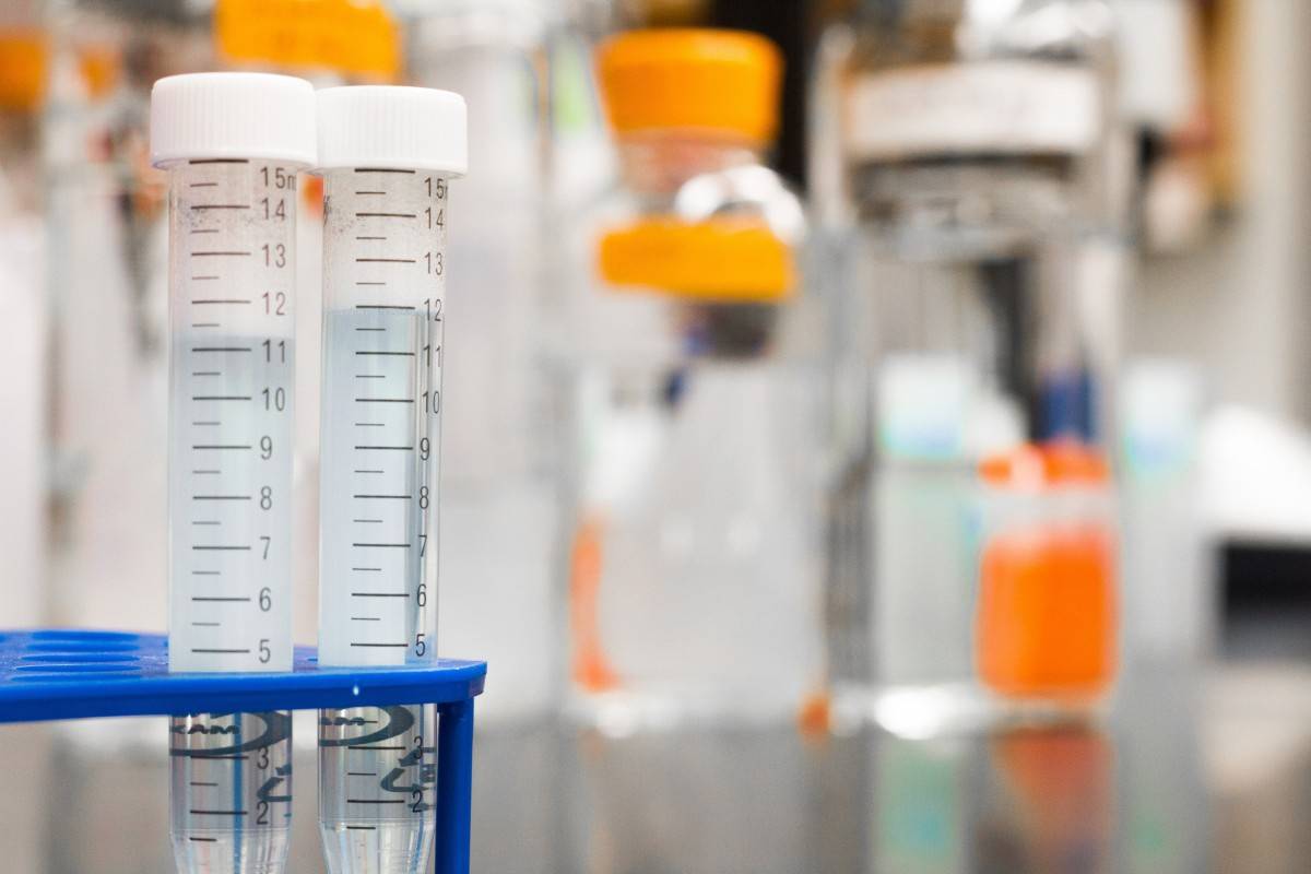 Nuevo método de halogenación de moléculas orgánicas
