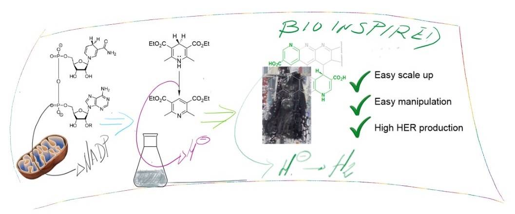 Esquema de funcionamiento del material obtenido comparado con sistemas naturales o sintéticos con fragmentos moleculares parecidos.