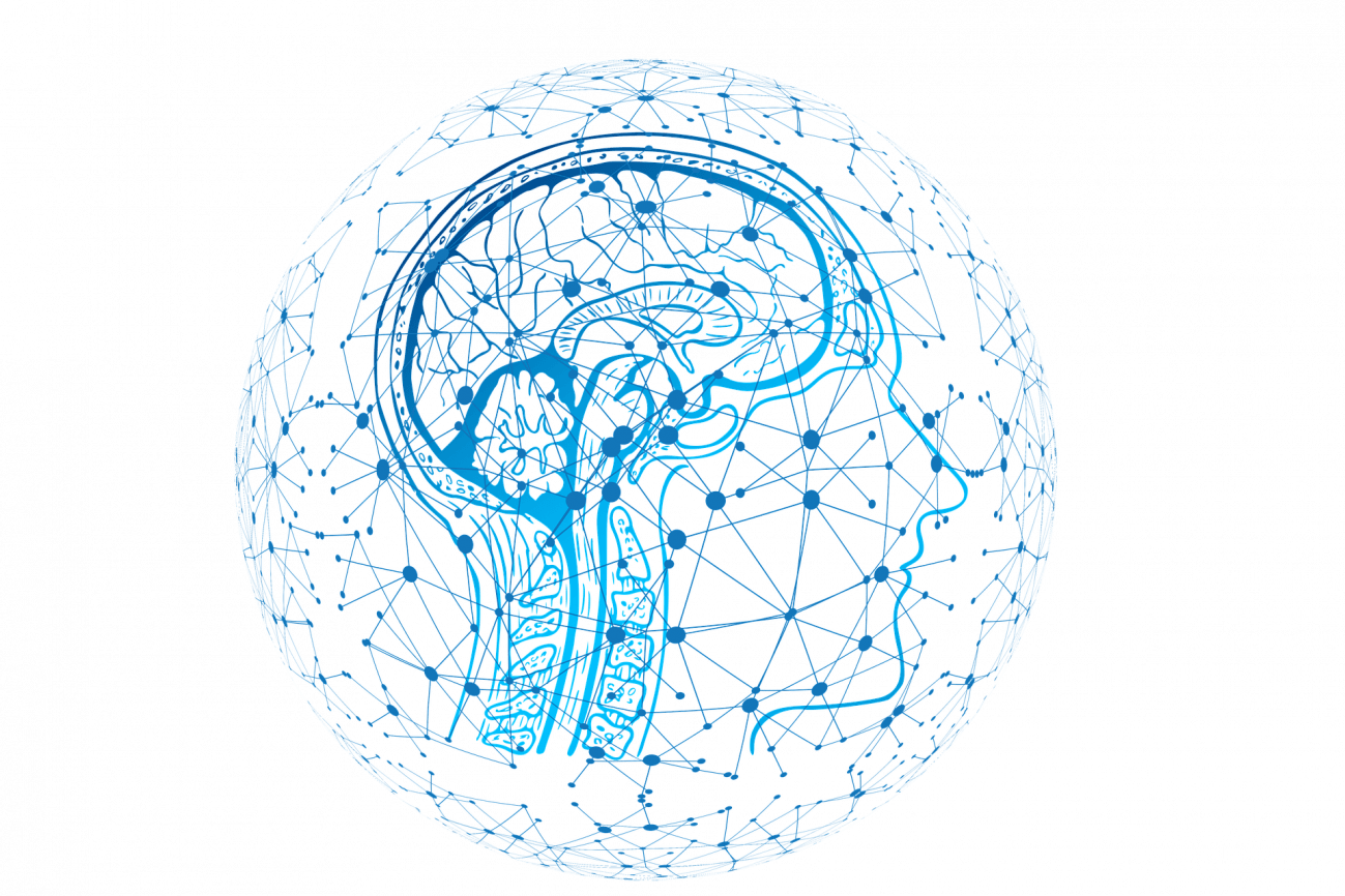 Los investigadores han creado una estructura neuro-inspirada llamada MNSD (multi neuronal spike-sequence detector).