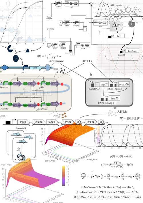 Nuevo sistema para la solución de problemas complejos por comunidades de bacterias