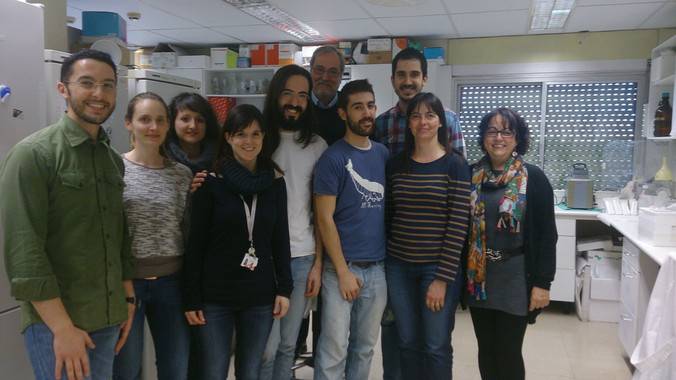 Grupo Isabel Fabregat