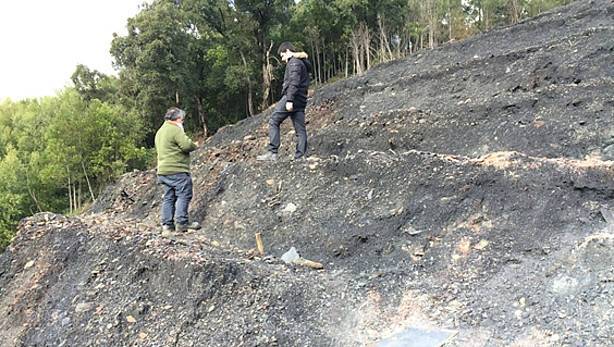 Nuevos sensores para la gestión ecológica de residuos de carbón