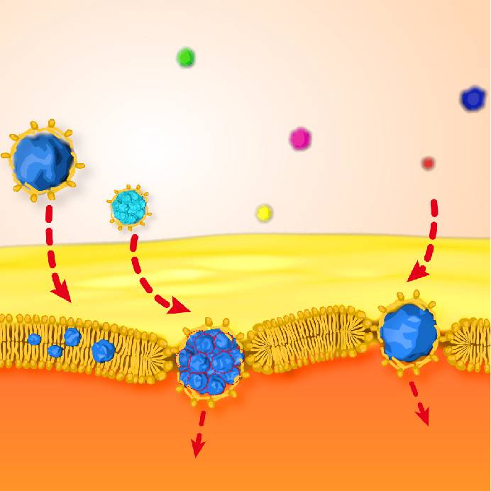 nanopartículas