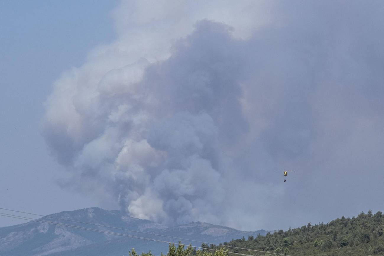Ocho actuaciones para mejorar la gestión del riesgo de incendio y proteger a la población