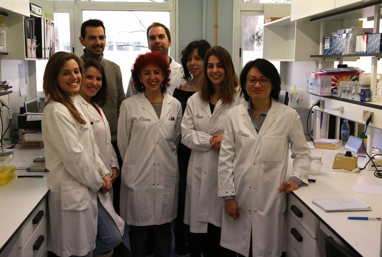 Equipo de investigación