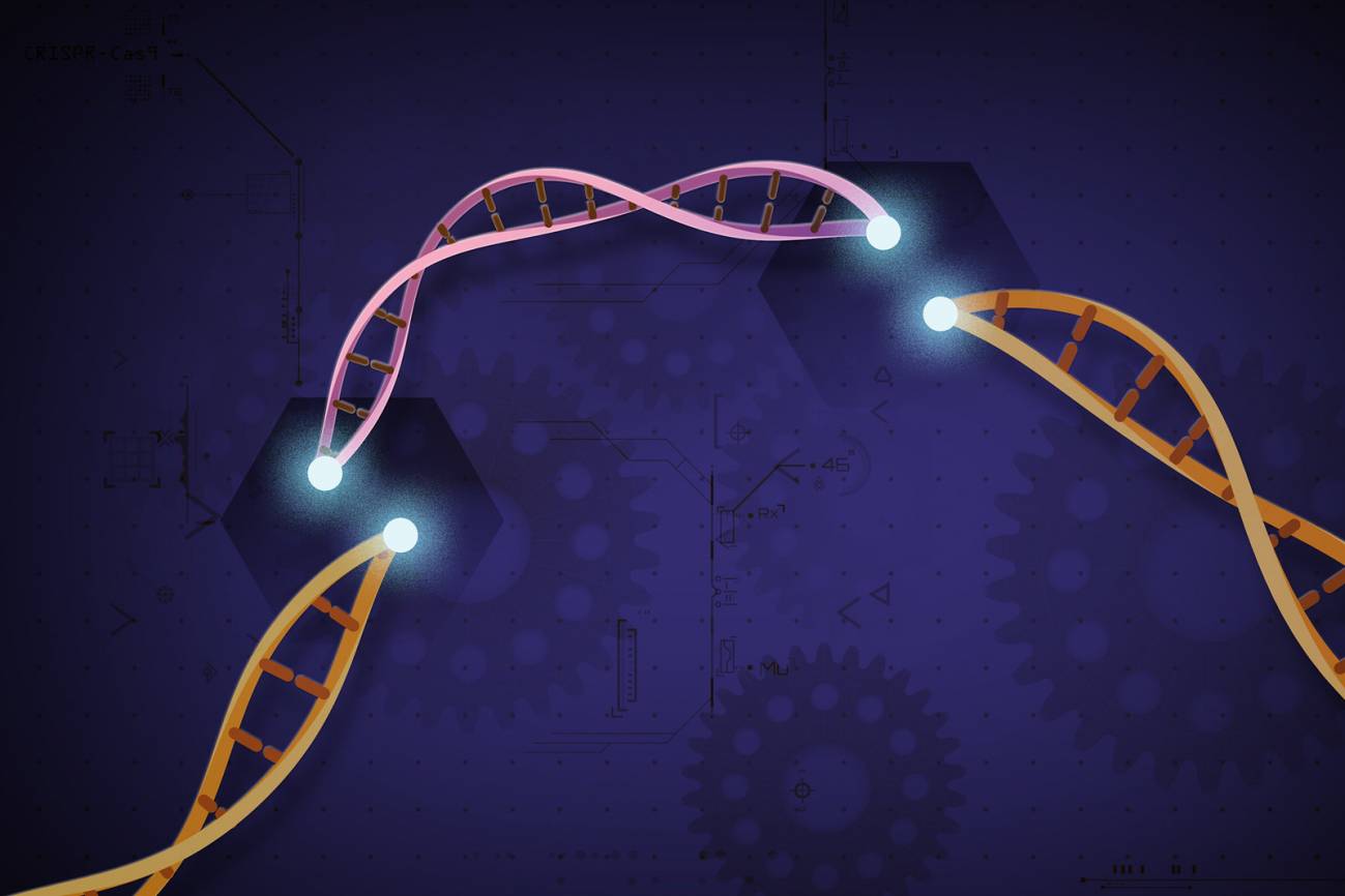 Ilustración simbólica de la técnica de edición genética CRISPR