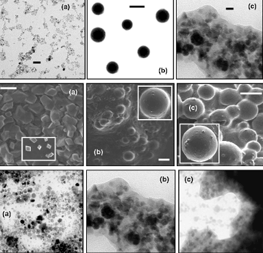 Patentan un nanotransportador de fármacos para tratamientos contra el cáncer