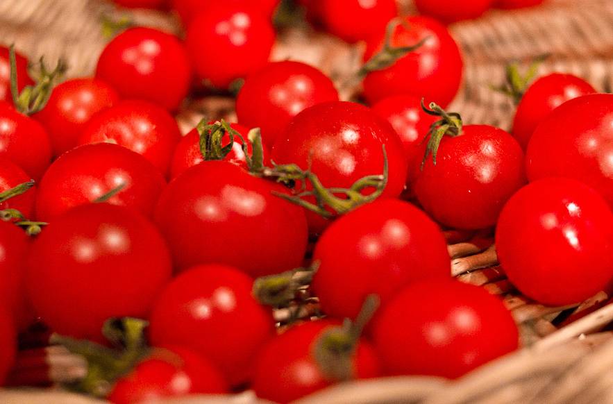 Piel de tomate para recubrir las latas por dentro