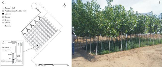 Plantaciones forestales para eliminar fármacos y estimulantes en aguas residuales