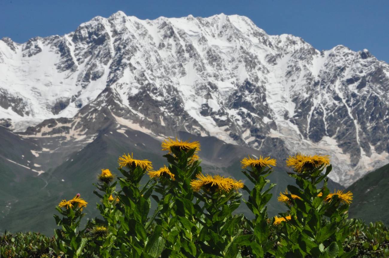 cordillera principal del Gran Cáucaso
