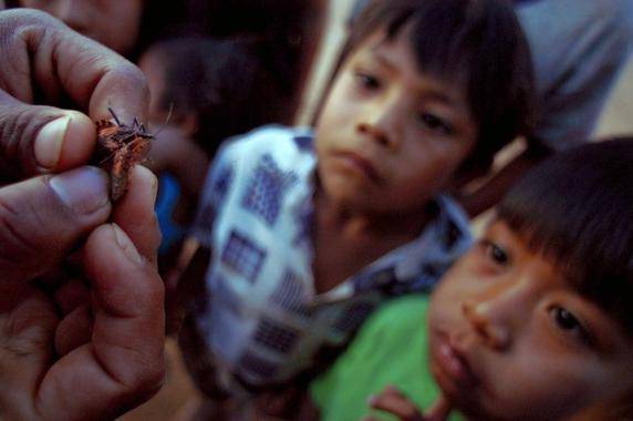 Posibles biomarcadores de pronóstico para la enfermedad de Chagas 