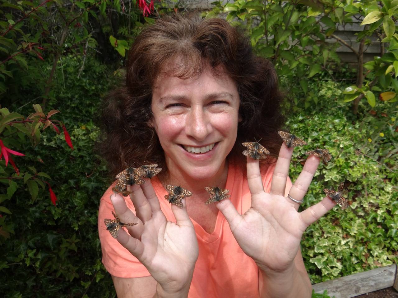 Premio Fronteras del Conocimiento a Camille Parmesan por sus estudios sobre cambio climático y desplazamiento de especies
