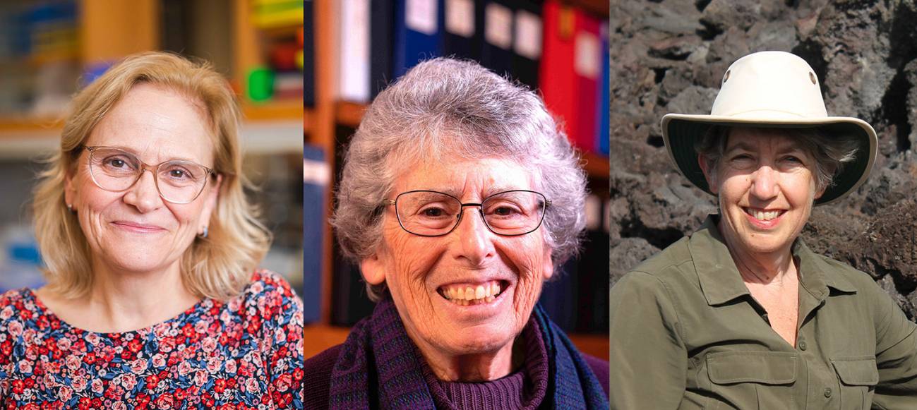 Premio Fronteras del Conocimiento a tres científicas por sus hallazgos sobre la sociabilidad de los animales