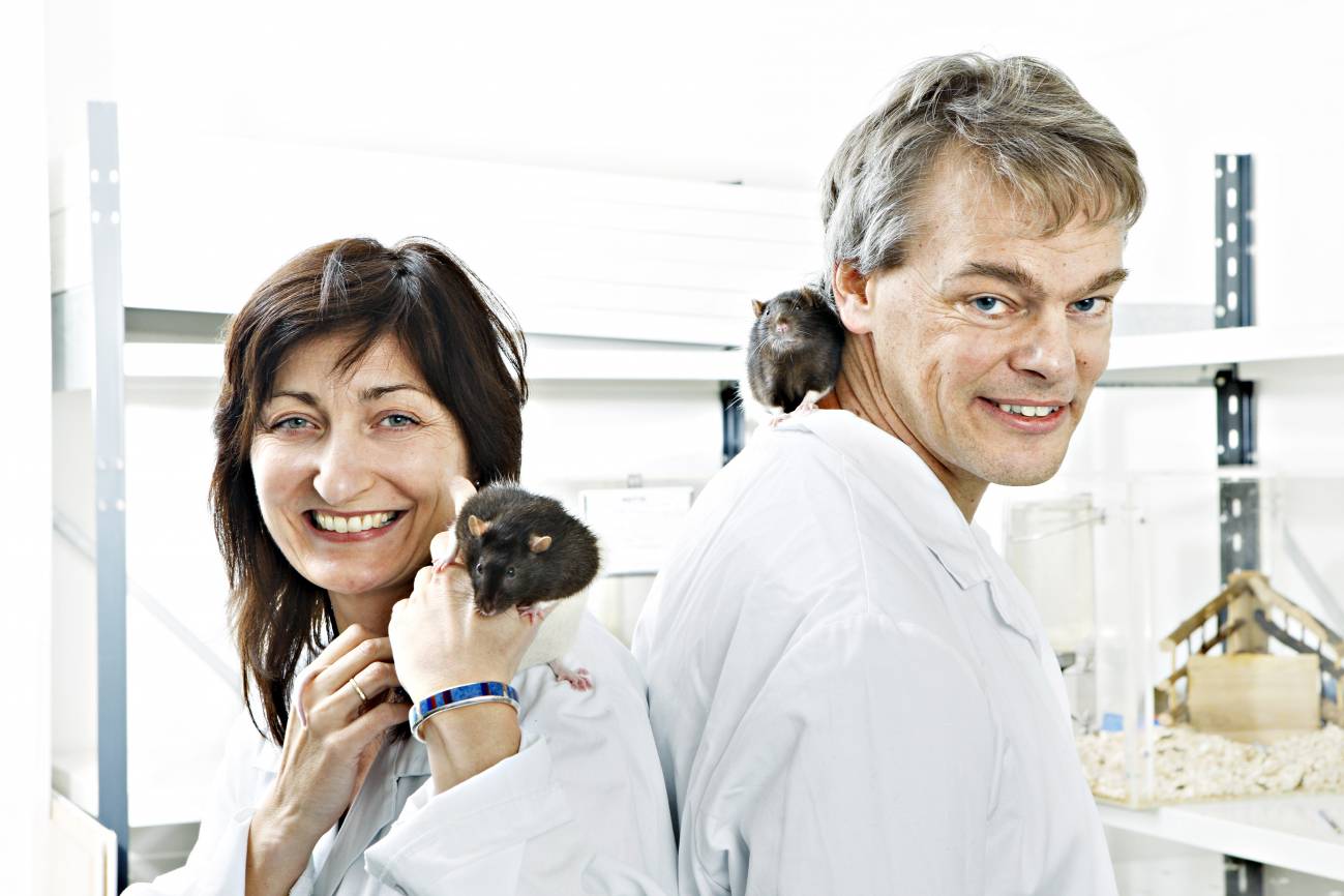 Premio Nobel de Medicina 2014 para los descubridores del ‘GPS’ cerebral