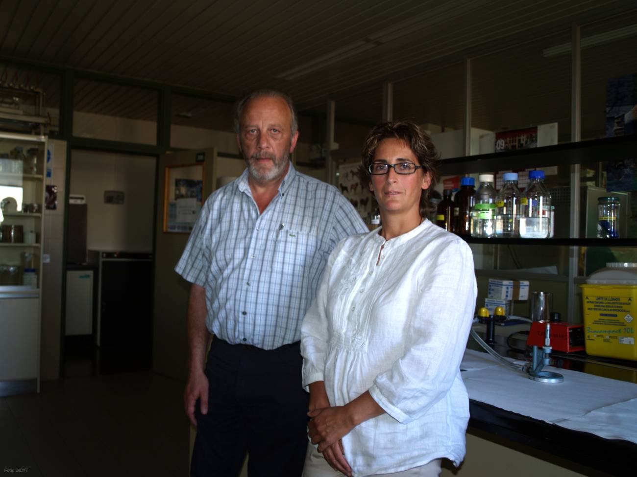 Presentan un estudio pionero en España sobre salmonelosis en granjas porcinas
