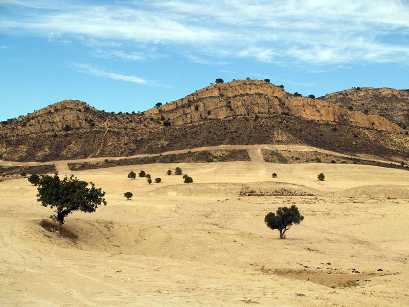 Presentan un informe para la lucha contra la desertificación en España