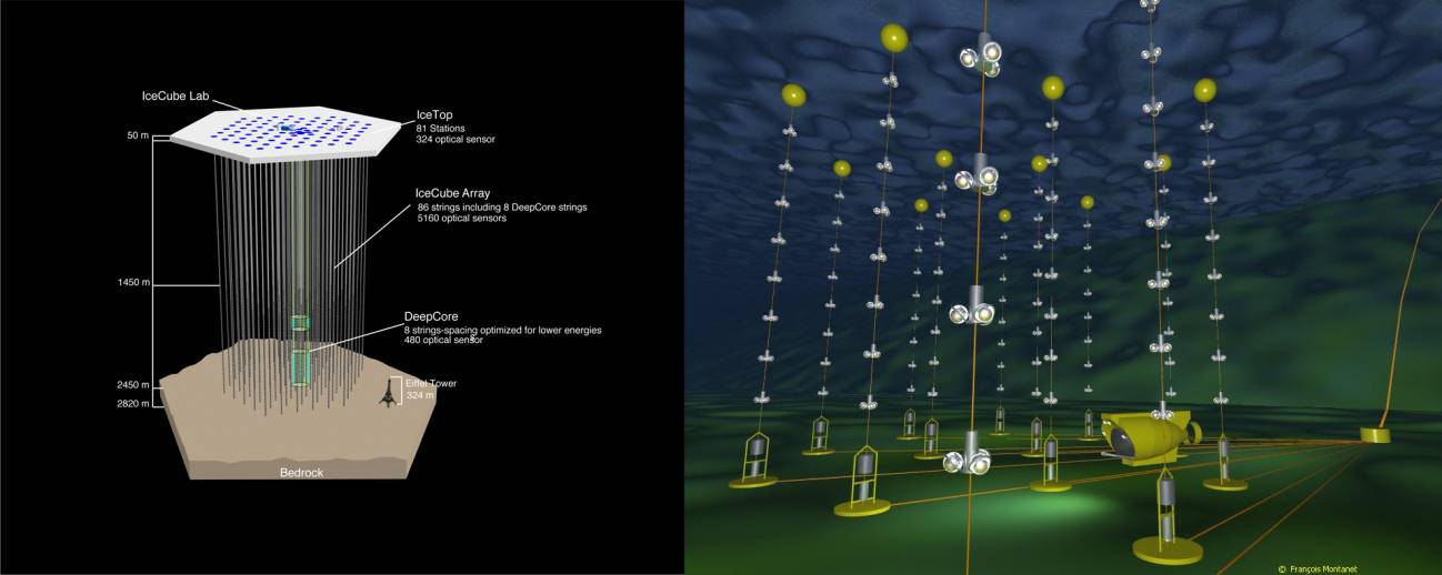 Primer estudio conjunto de los dos mayores telescopios de neutrinos del mundo