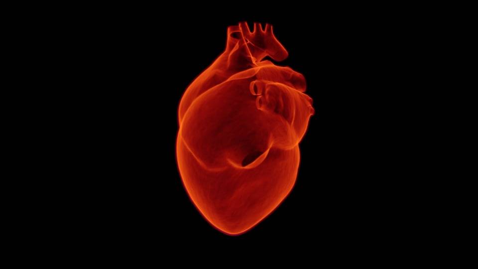 ¿Qué factores son clave para identificar el pronóstico del infarto de miocardio?