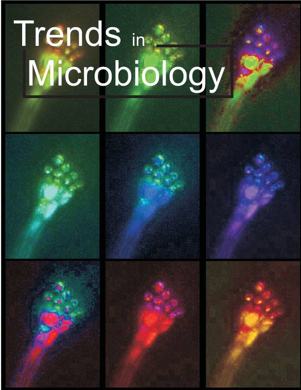 Químicos vascos son portada de la revista científica 'Trends in Microbiology'