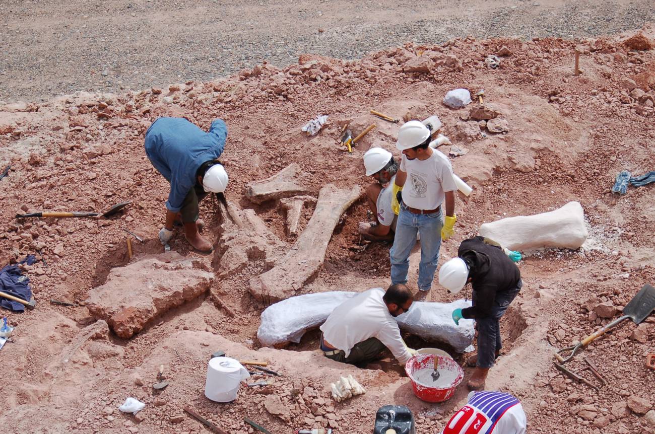 Recuperan un nuevo dinosaurio encontrado en una perforación petrolera en la Patagonia 