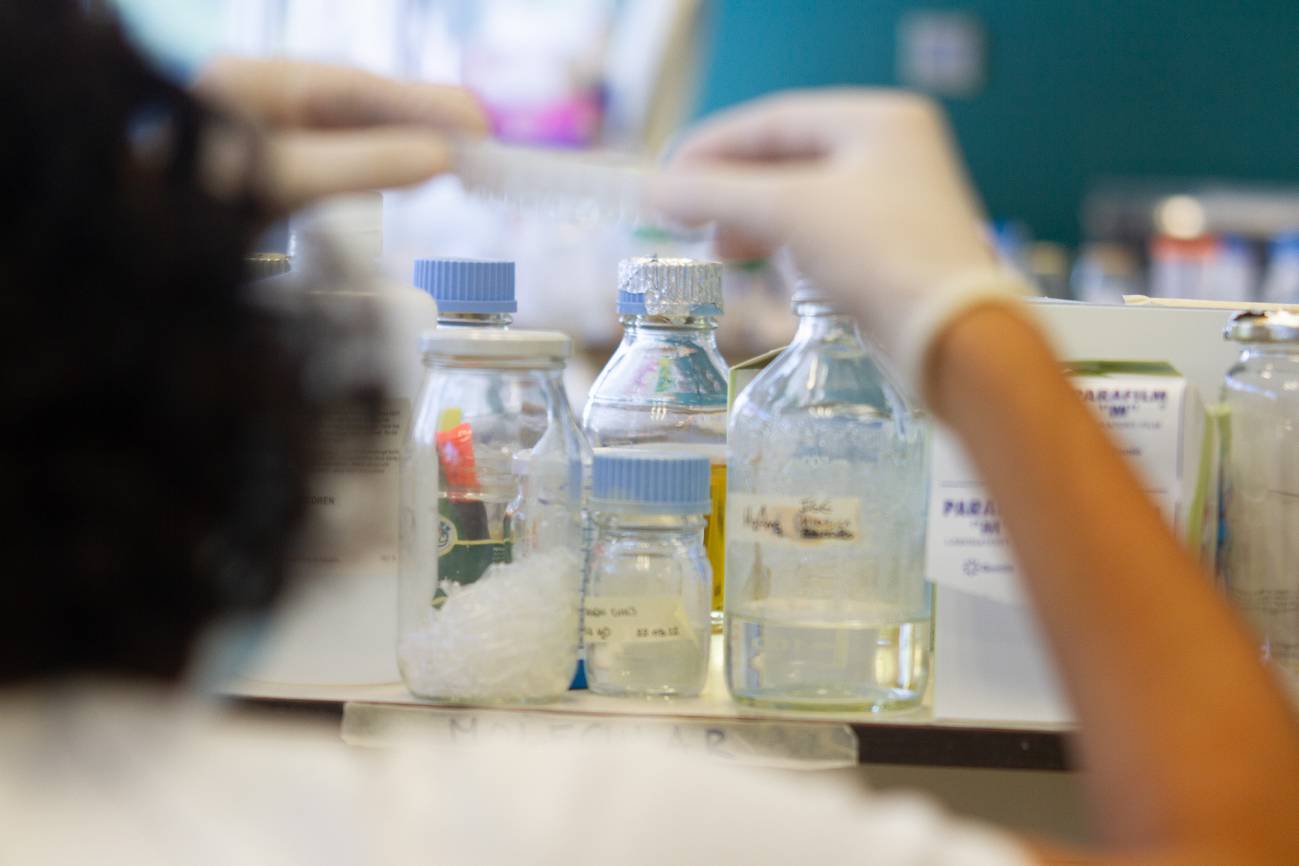 Investigadores trabajando en el laboratorio