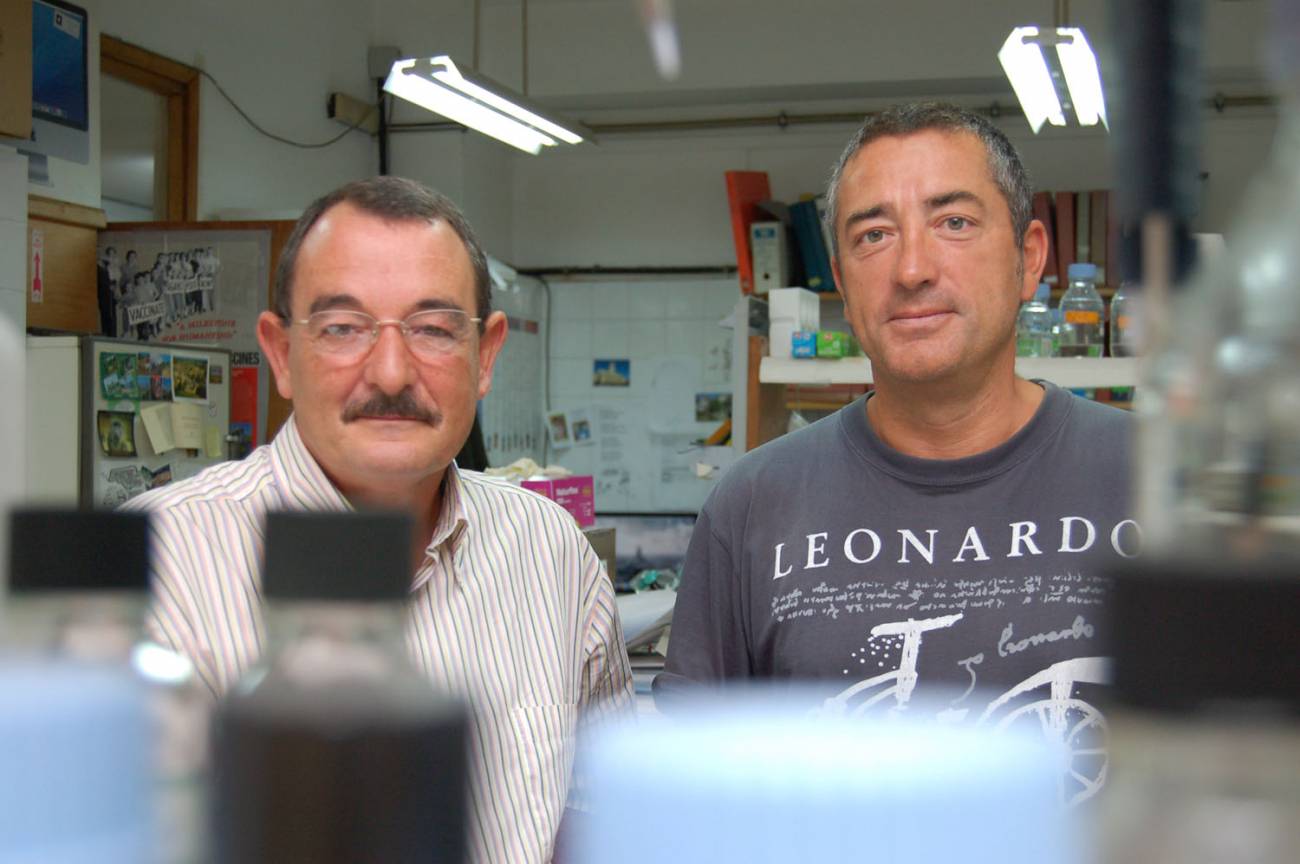 Reovirus aviares como agentes antitumorales para humanos