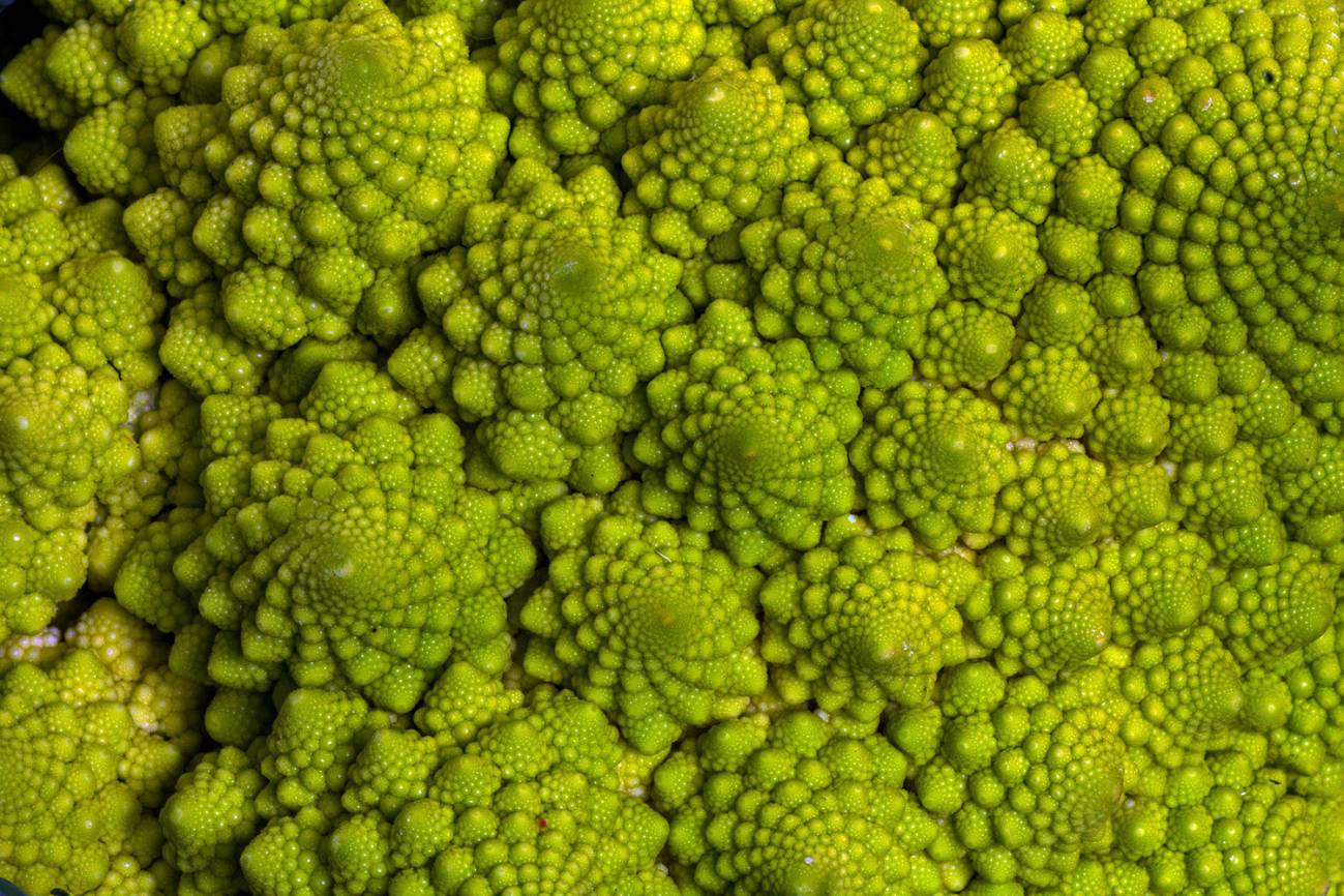 Resuelto el misterio de la curiosa forma de la coliflor romanesco