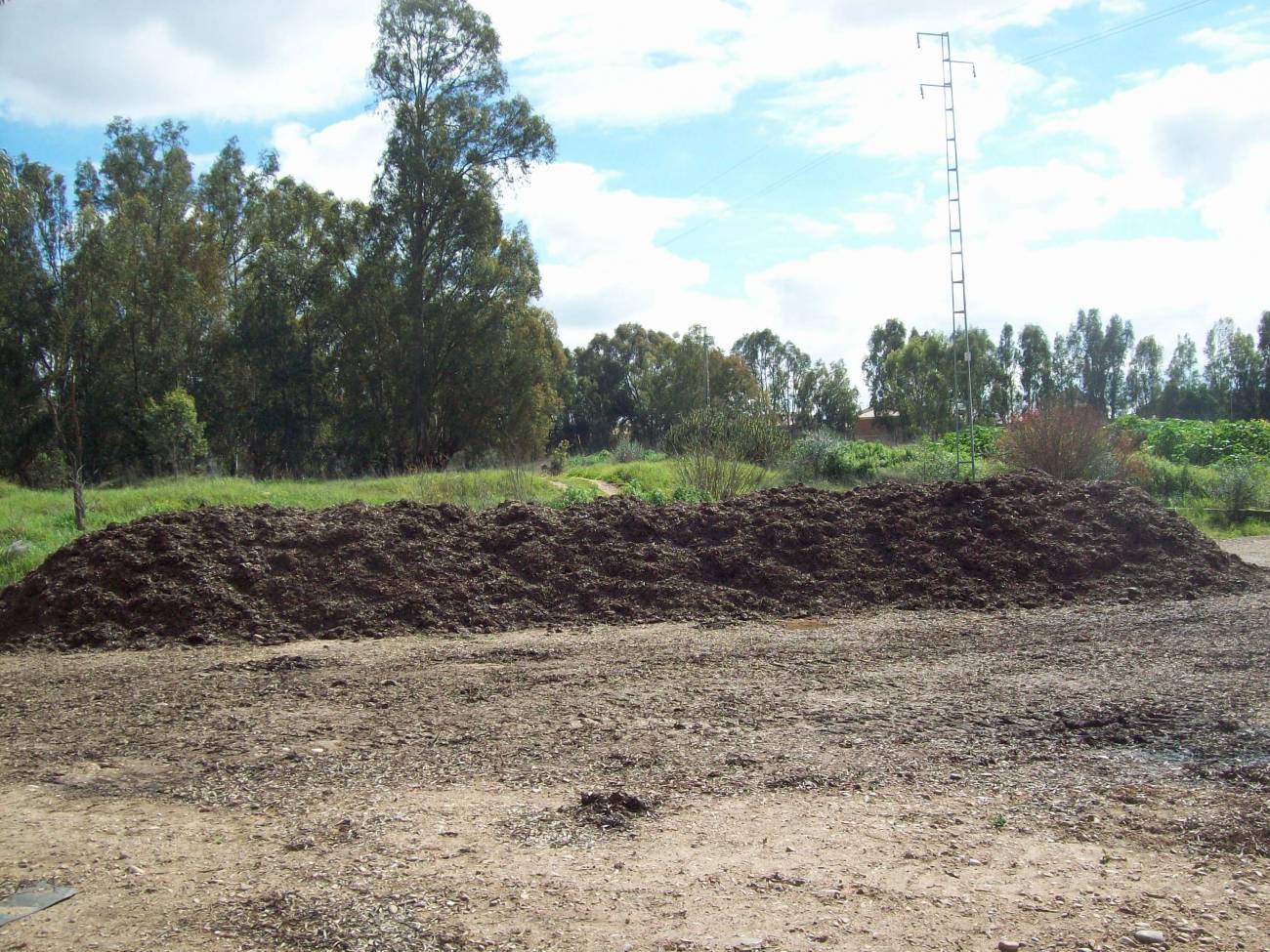 Reutilizar los residuos de la industria aceitera como abono ahorraría 60 millones de euros al año 