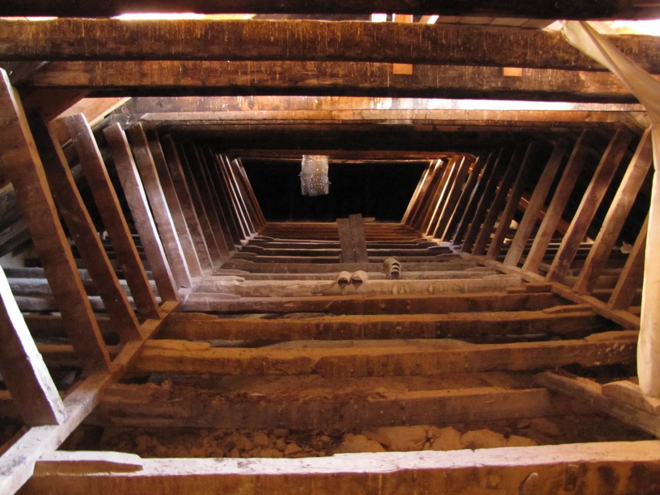 Revelan el origen de la madera usada en monumentos religiosos andaluces