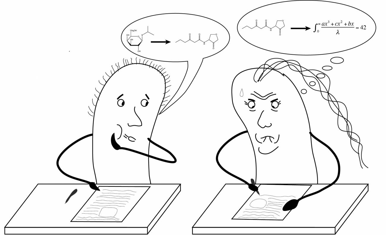 ¿Se pueden hacer calculadoras con microorganismos?